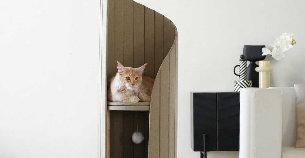 Why Your Cat Needs a Stylish Cat Tree ASAP: The Ultimate Guide – Meoof ...