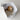 Great House Cat Litter Box - Meoof Pet Products