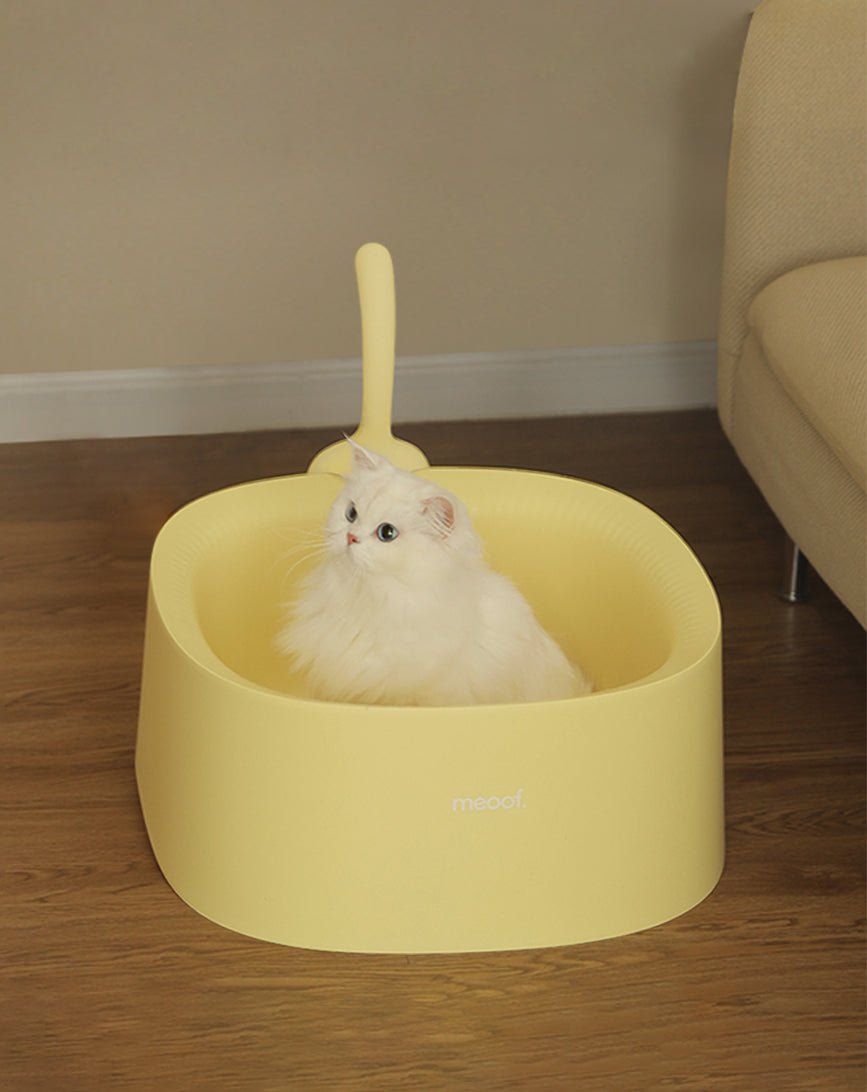 Minimalist cat litter box shop